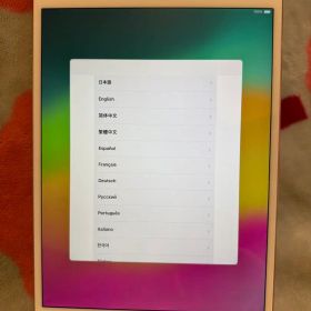 Apple iPad Pro 10.5インチ ピンクゴールド (A1701)