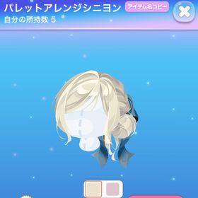 パレットアレンジシニヨン | ポケコロのアイテム、RMTの販売・買取一覧