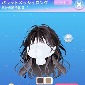 パレットメッシュロング | ポケコロのアイテム、RMTの販売・買取一覧