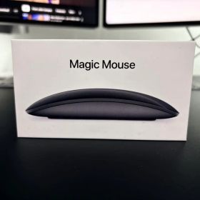 Magic Mouse 2 - スペースグレイ 中古