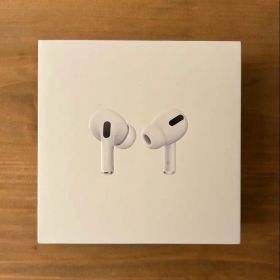 Apple AirPods Pro 本体