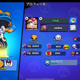 ブロスタ引退垢 スキン豊富 全キャラ所持 | ブロスタ(ブロウルスターズ)のアカウントデータ、RMTの販売・買取一覧