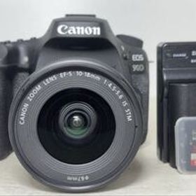 Canon キャノン EOS 90D + EF-S 10-18mm 4.5-5.6 IS STM デジタル一眼レフカメラ 32GBメモリ 即決送料無料