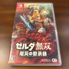 ゼルダ無双 厄災の黙示録