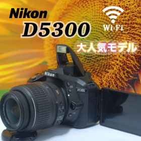 Nikon D5300 ニコン 一眼レフ WiFi搭載 動作品 すぐ使えるセット