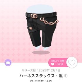 ハーネススラックス・黒 双子分 | ポケコロツイン(ポケツイ)のアカウントデータ、RMTの販売・買取一覧