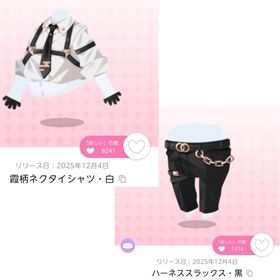 霞柄ネクタイシャツ・白×1 ハーネススラックス・黒×1 セット売り | ポケコロツイン(ポケツイ)のアイテム、RMTの販売・買取一覧