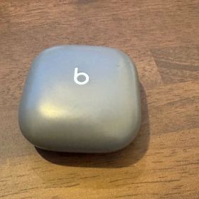 Beats Fit Pro セージグレイ