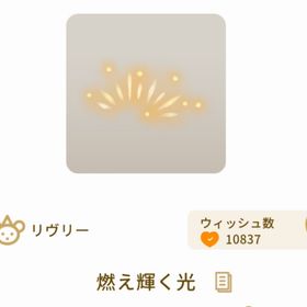 燃え輝く光 | リヴリーアイランドのアイテム、RMTの販売・買取一覧