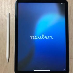 Apple iPad Air 第4世代 本体 + Apple Pencil