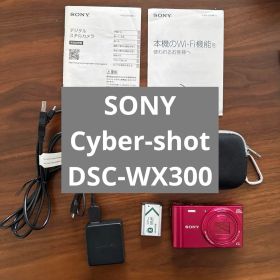 SONY Cyber-shot DSC-WX300