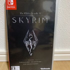 The Elder Scrolls V: Skyrim (Switch)