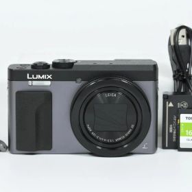 【超美品】パナソニック Panasonic LUMIX DC-TZ90 シルバー