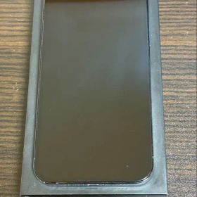 iPhone12 Pro Maxジャンク品
