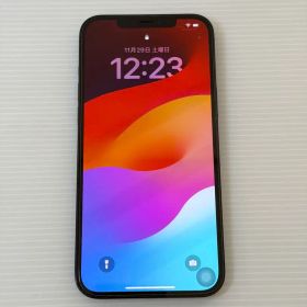 iPhone 12 Pro Max 128GB SIMロックなし