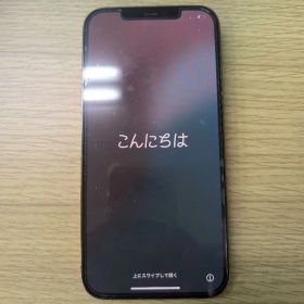 iPhone12 PROMAX 256GB