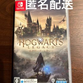 Hogwarts Legacy ホグワーツレガシー Switch版