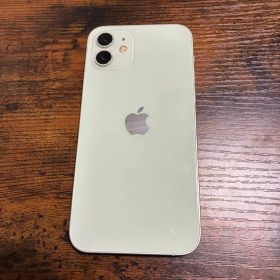 Apple iPhone 12 ライトグリーン本体