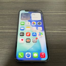 iPhone 12 64GB Blue ジャンク