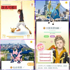 神垢 レジェンドポーズ(s9ダンデ)、高個体・色違い・背景多数所持引退垢‼️ | ポケモンGOのアカウントデータ、RMTの販売・買取一覧