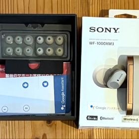 SONY WF-1000XM3 ワイヤレスイヤホン おまけ ケース、箱付き
