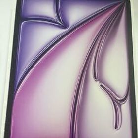 美品 13インチ iPad Air (M2) WiFi＋Cellular 256GB