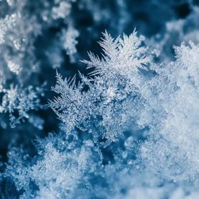 レフ様専用 | ポケコロのアイテム、RMTの販売・買取一覧