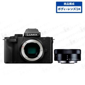 パナソニック LUMIX DC-G100D ボディ ブラック + 標準ズームレンズセット LUMIX G VARIO 12-32mm/F3.5-5.6 ブラック ルミックス Panasonic