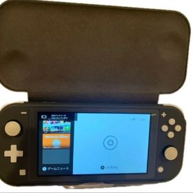 Switchライト グレー色（ややジャンク）と保護ケースのセット