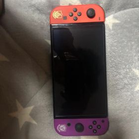 Nintendo Switch 本体 sv板