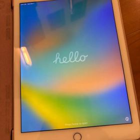 iPad Pro 9.7インチ MM1A2J/A Wi-Fiモデル 256GB