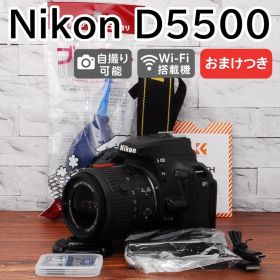✨初心者オススメ機種 Wi-Fi搭載✨ Nikon D5500 レンズセット