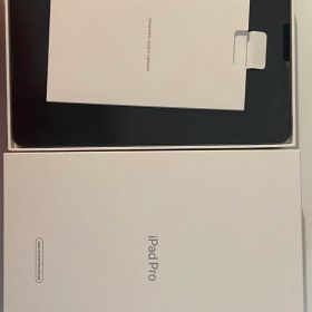 iPad Pro 第2世代 11インチ 256GB スペースグレイ ジャンク品