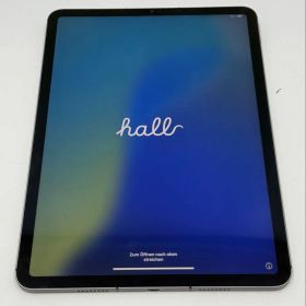 iPad Pro 第3世代 11インチ 1TB Wi-Fi+Cellular