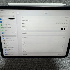 iPad Pro 11 inch (第3世代) M1 2TB cellular