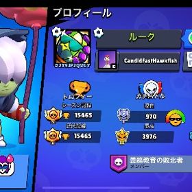 ダスティンニタ その他ハイチャスキン サブ垢向き | ブロスタ(ブロウルスターズ)のアカウントデータ、RMTの販売・買取一覧