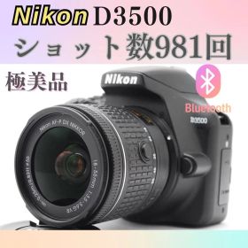 ショット数981回❤️️Bluetooth搭載❤️Nikon D3500
