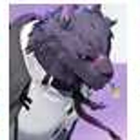 🤲大割引🤲 | カオゼロ(カオスゼロナイトメア)のアカウントデータ、RMTの販売・買取一覧