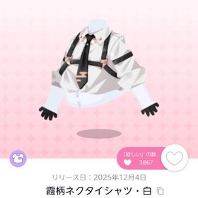 霞柄ネクタイシャツ・白 双子分 | ポケコロツイン(ポケツイ)のアカウントデータ、RMTの販売・買取一覧