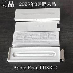 美品 正常動作確認済み 2025年3月購入品 Apple Pencil USB-C MUWA3ZA/A