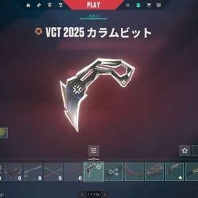 メアパス譲渡可能 希少アカウント | VALORANT(ヴァロラント)のアカウントデータ、RMTの販売・買取一覧