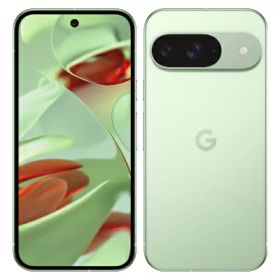 【ネットワーク利用制限▲】Google Pixel9 G1B60 128GB Wintergreen【SoftBank版SIMフリー】 Google 当社3ヶ月間保証 中古 イオシス
