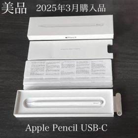 美品 2025年3月購入 Apple Pencil USB-C MUWA3ZA