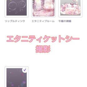 エタニティケットシー 撮影 | ピュアニスタのアイテム、RMTの販売・買取一覧