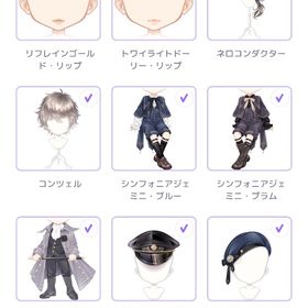 終曲N9点セット | ピュアニスタのアイテム、RMTの販売・買取一覧