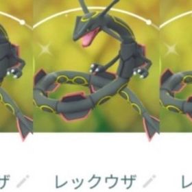 8939【PTC】在庫処分！国産レックウザ13匹 内色違い3匹 いんせき1 | ポケモンGOのアカウントデータ、RMTの販売・買取一覧