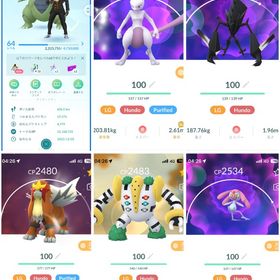 【⭐️TL 64】💥伝説個体値💯: 5体、💥伝説:193体、✨色違い伝説：13体 | ポケモンGOのアカウントデータ、RMTの販売・買取一覧