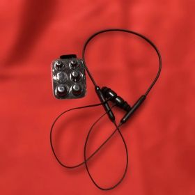 Beats Flex ビーツ フレックス ワイヤレスイヤホン イヤホン