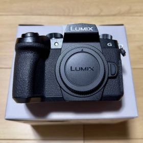 パナソニック LIMIX G99M2 ボディ ブラック DC-G99M2