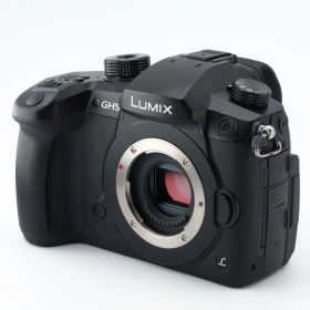 Panasonic (パナソニック) LUMIX DC-GH5 ボディ _GP00004799